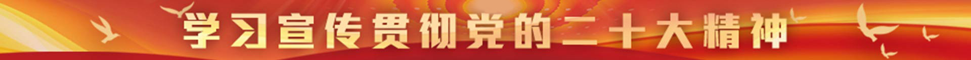 深入学习贯彻十九届五中全会精神